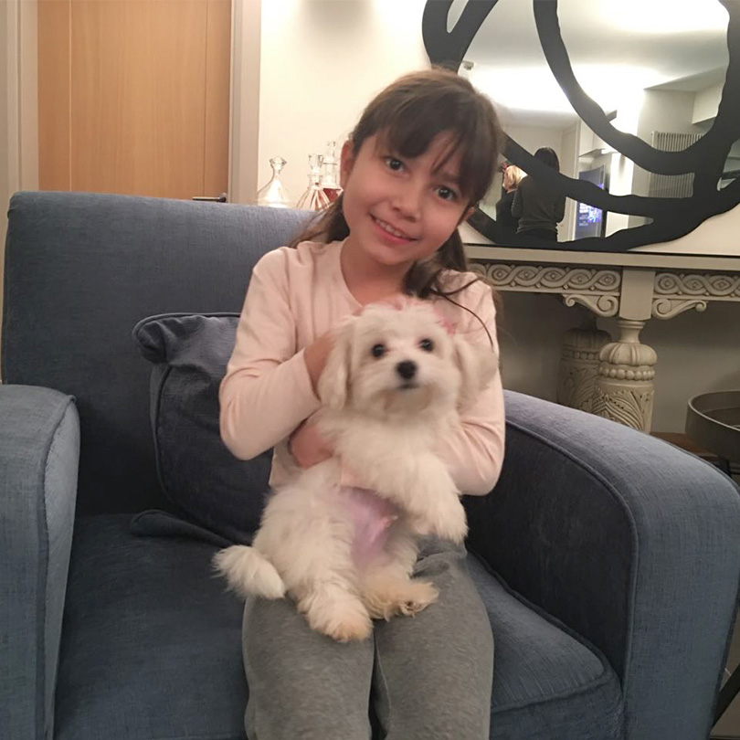 Star Tv Anahaber sunucusu Nazlı Çelik, Maltese Terrier cinsi Elit Yavru sahibi oldu