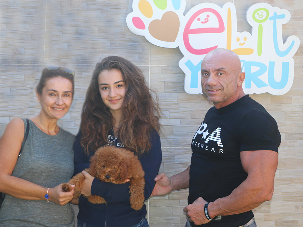 Cem Baltacıoğlu ve Ailesi, Elit Yavru Toy Poodle sahibi oldular