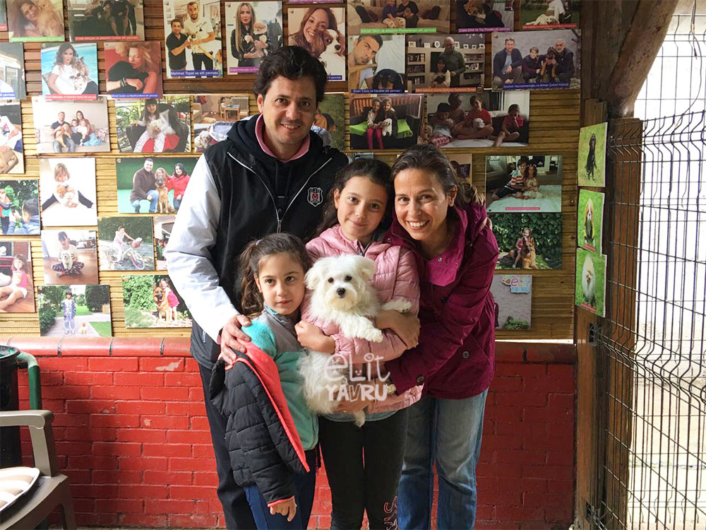 Ünsal ve Burcu Erdoğan ailesi, Maltese Terrier Elit Yavru sahibi oldu