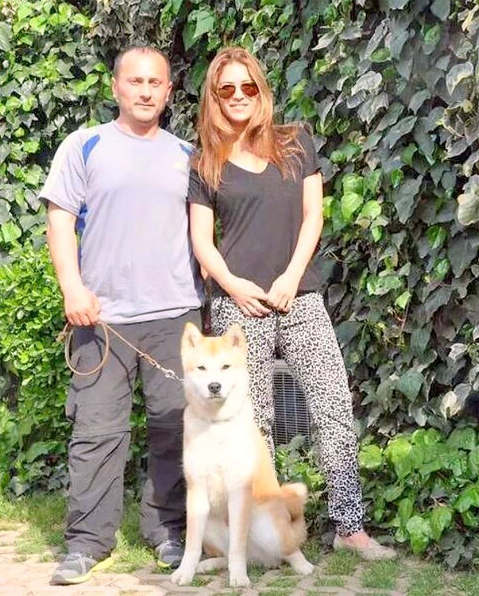 yağmur ünal shiba inu eğitim