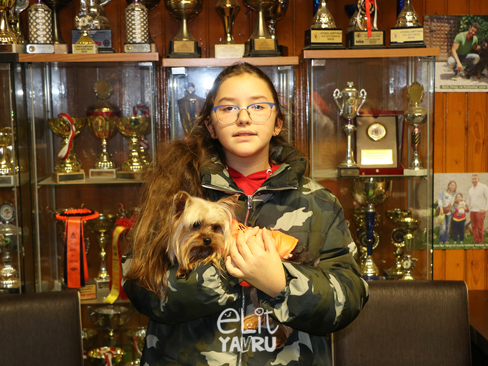 Yalova'dan Seda Hanım, Yorkshire Terrier elit yavrusuna kavuştu